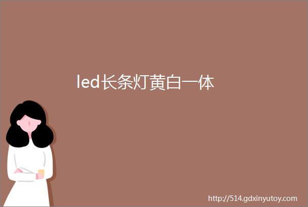 led长条灯黄白一体