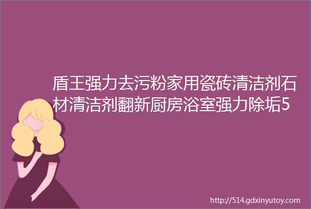 盾王强力去污粉家用瓷砖清洁剂石材清洁剂翻新厨房浴室强力除垢500g1瓶