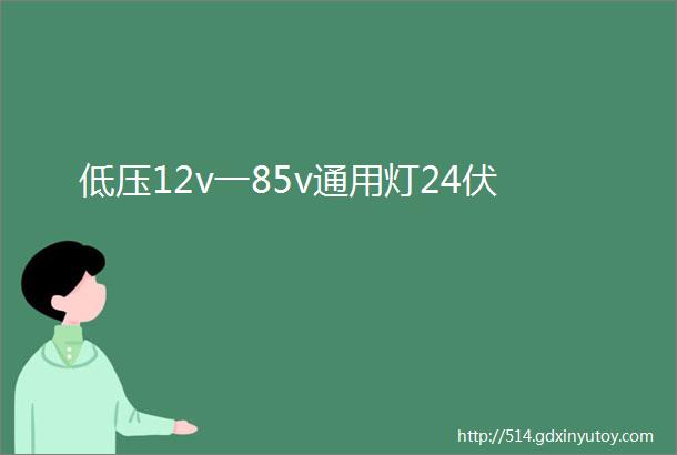 低压12v一85v通用灯24伏