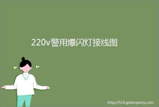 220v警用爆闪灯接线图