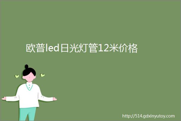 欧普led日光灯管12米价格