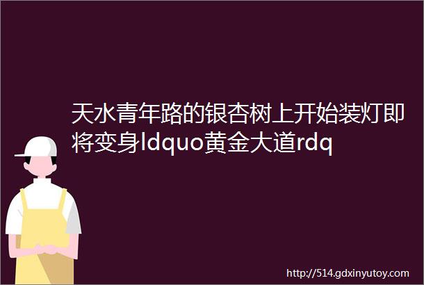 天水青年路的银杏树上开始装灯即将变身ldquo黄金大道rdquo图文视频