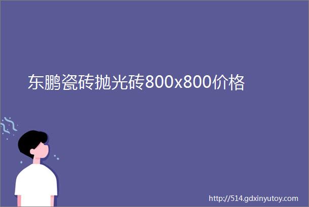 东鹏瓷砖抛光砖800x800价格