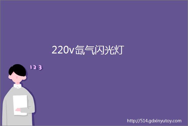 220v氙气闪光灯