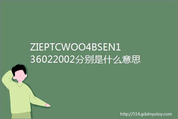 ZIEPTCWOO4BSEN136022002分别是什么意思